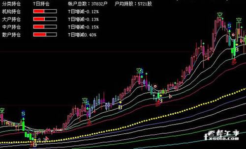 赢在龙头视频白屏截图