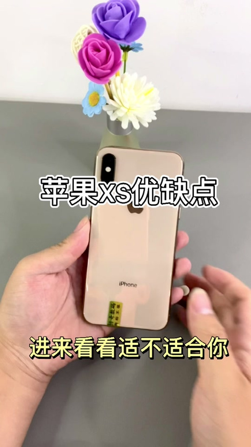 苹果xs广角镜头怎么开