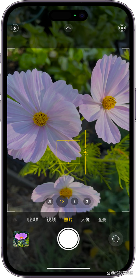 iphone拍摄全屏照片