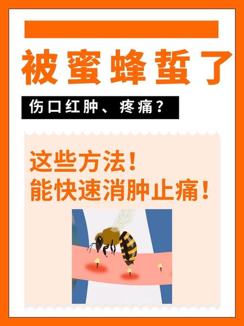 蜜蜂蛰了有什么好处截图
