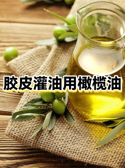 胶皮灌油用什么油