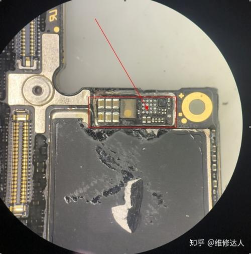 苹果x进水了修得多少钱