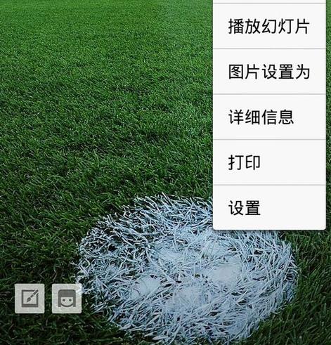 vivo手机相册按日期显示缩略图
