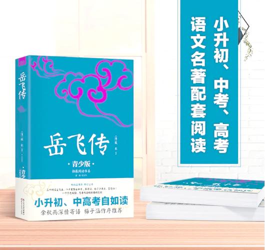 岳飞传旧版全文阅读