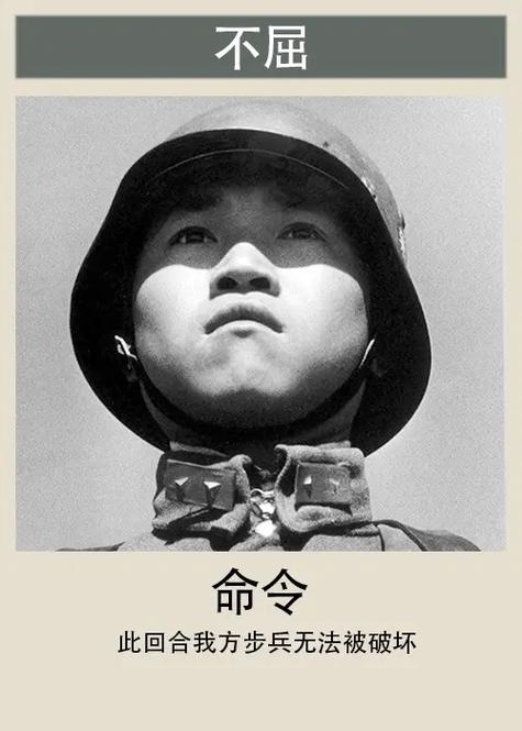 老蒋有几个德械师截图