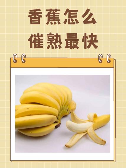 橙子可以催熟香蕉吗