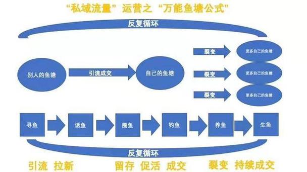 tt鱼塘规律