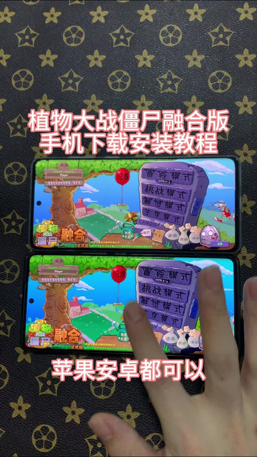 植物大战僵尸β安装包