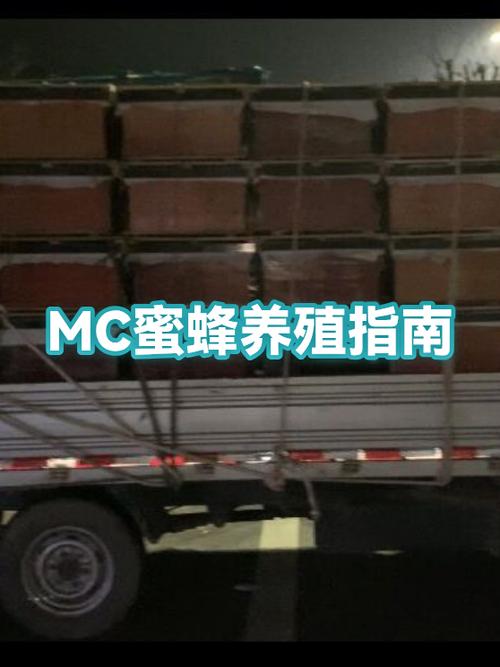 我的世界蜜蜂怎么获得蜂蜜游戏截图