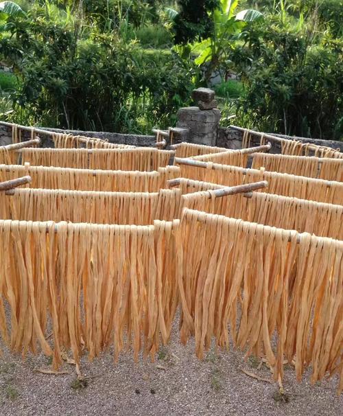 情陷野山村腐竹