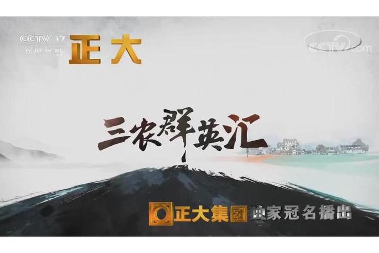 如何艾特全体成员