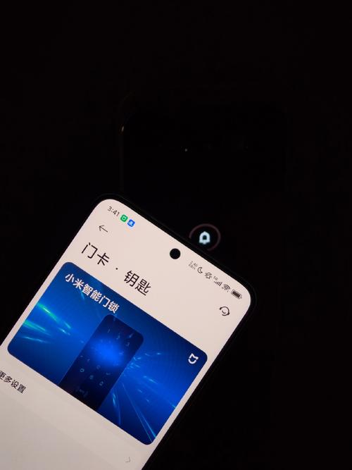 手机进水可以放大米里吗