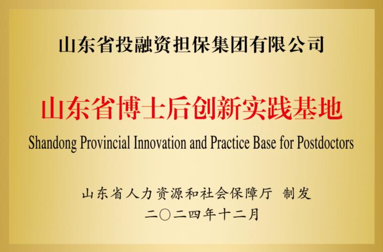 山东银投是做什么的