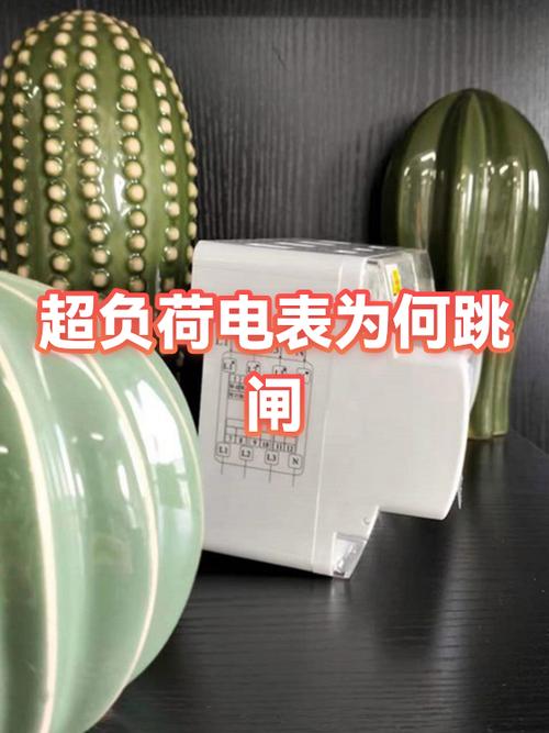 家里用电超负荷跳闸原因