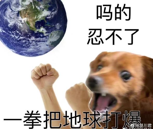 打爆表情包截图