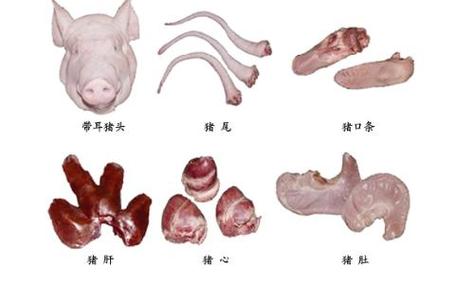 猪副产品名称大全