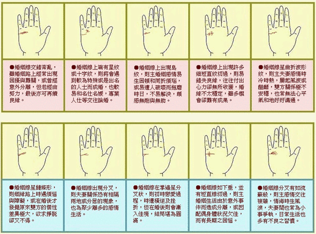 手掌心中间的直线是什么线