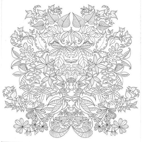 secret garden 绘画教程图标
