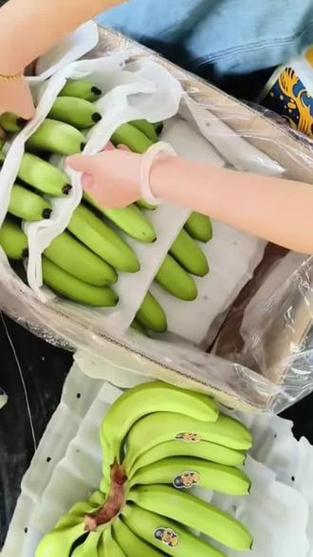 耀正香蕉公司
