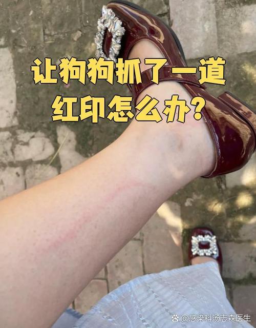 狗狗抓红了怎么办自己消了