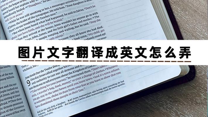 图片文字翻译成英文图标