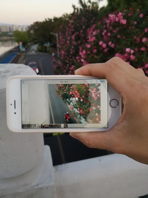 苹果几拍照好看