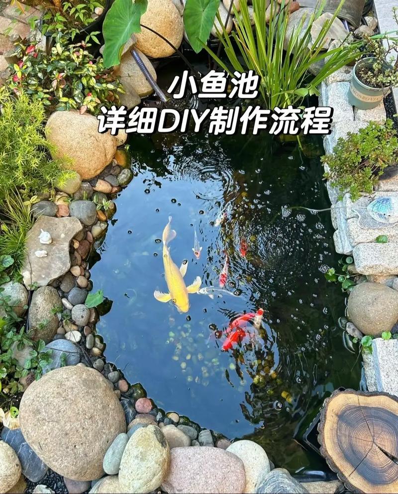 小型鱼池设计图效果图大全