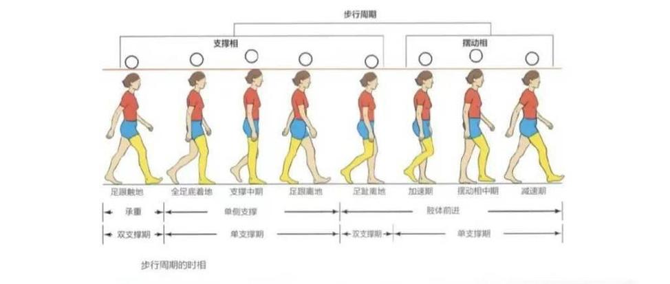 最科学的走路方式