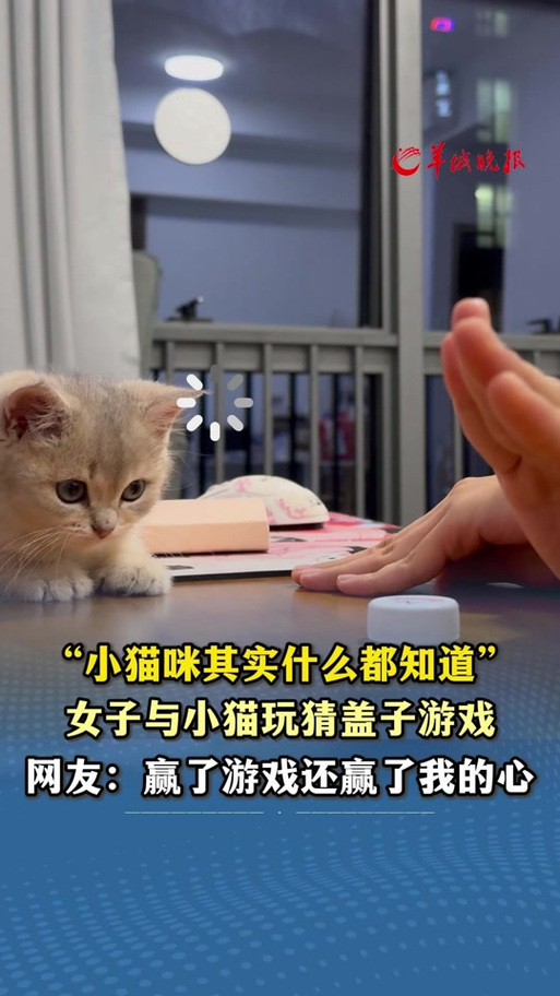 猜在哪个手