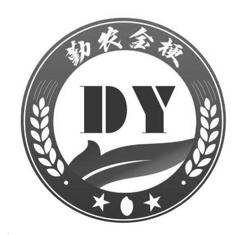 DY第一平台