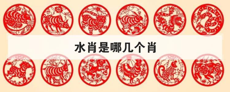 水肖最简单三个生肖截图