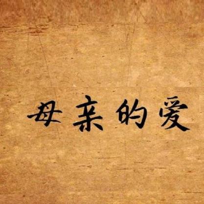 母亲的爱1-15章结局缩略图