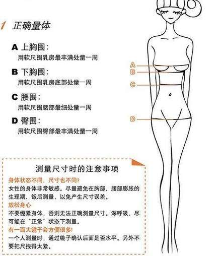 没尺子怎么量三围
