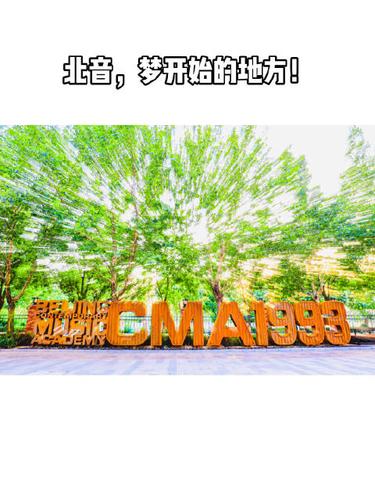shark大表哥辅助