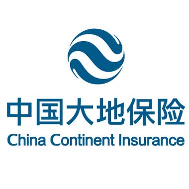 大地保险怎么样