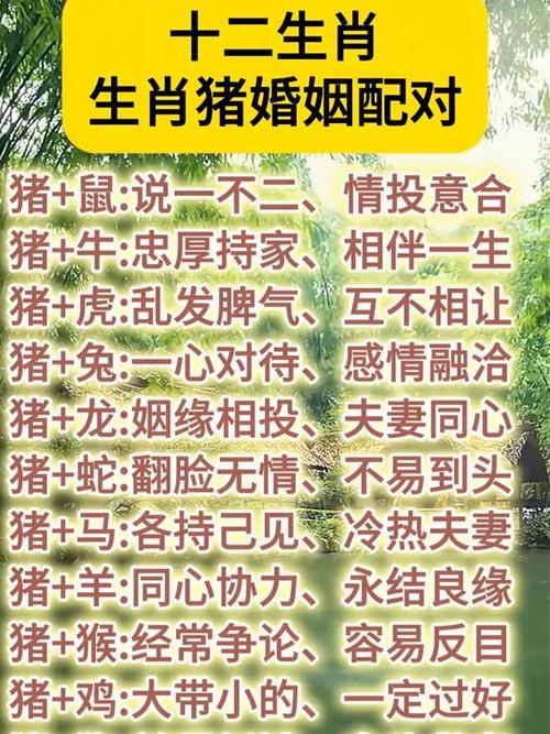 属猪的男人和什么属相最配图标