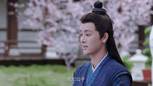 类似公子倾城的男主缩略图