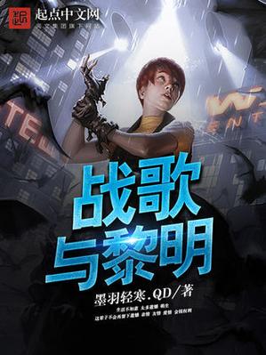 黎明战歌小说
