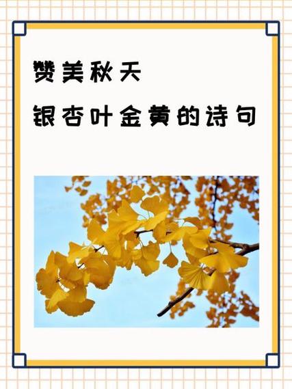 银杏诗歌现代诗