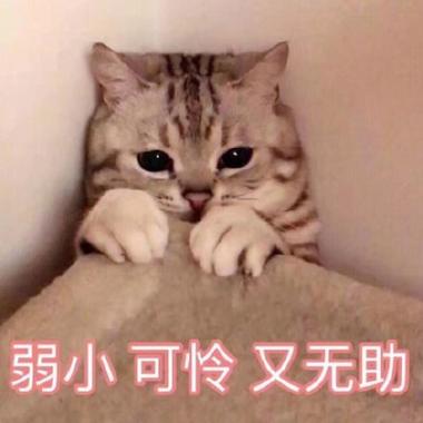 可爱又可怜表情包图片缩略图