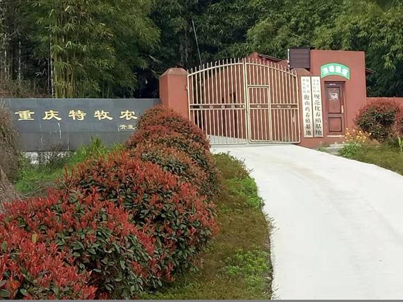 重庆特牧农业开发有限公司