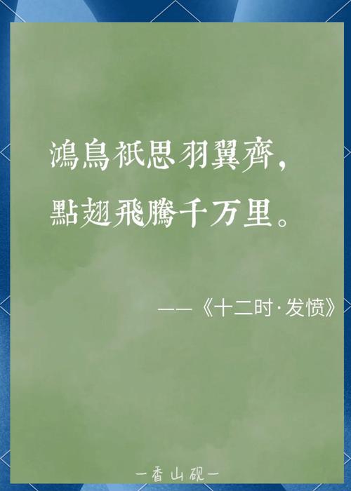 羽毛球搭档的感情截图