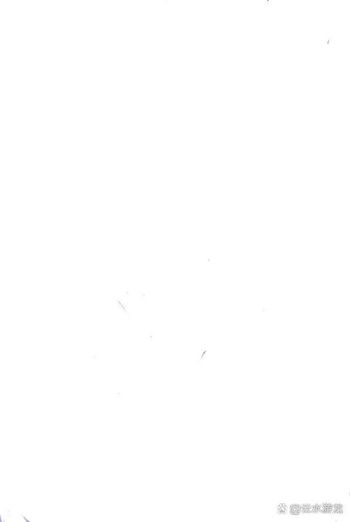 全白图无字