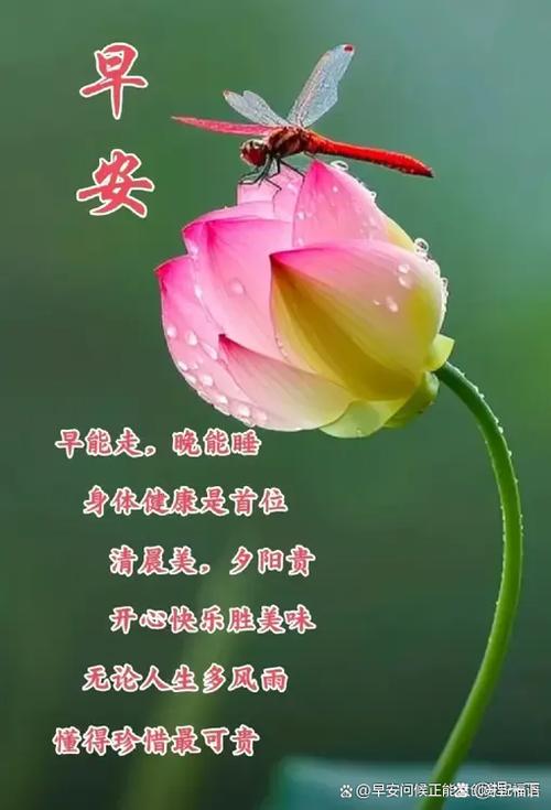 祝福语简短温馨