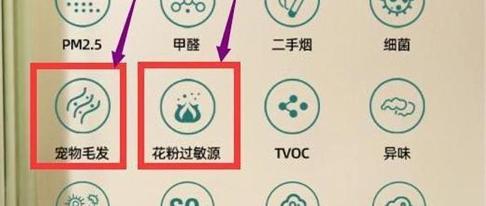 净化什么意思