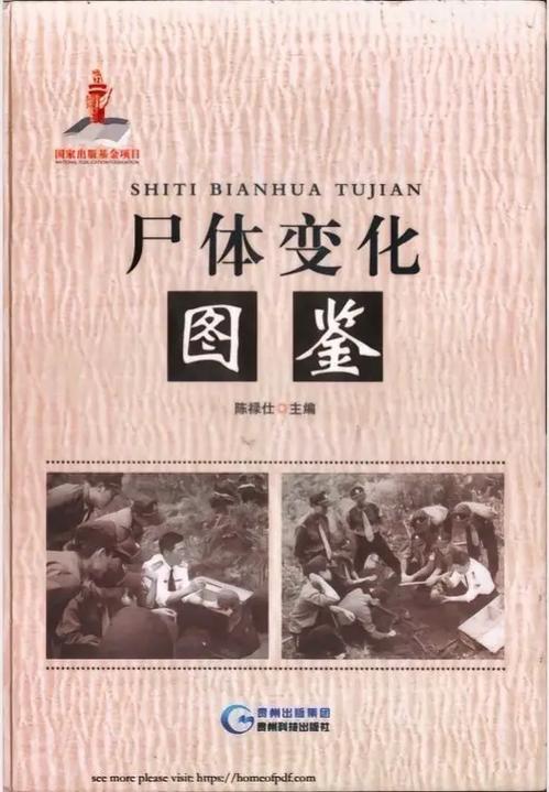 《尸变图鉴》免费观看高清