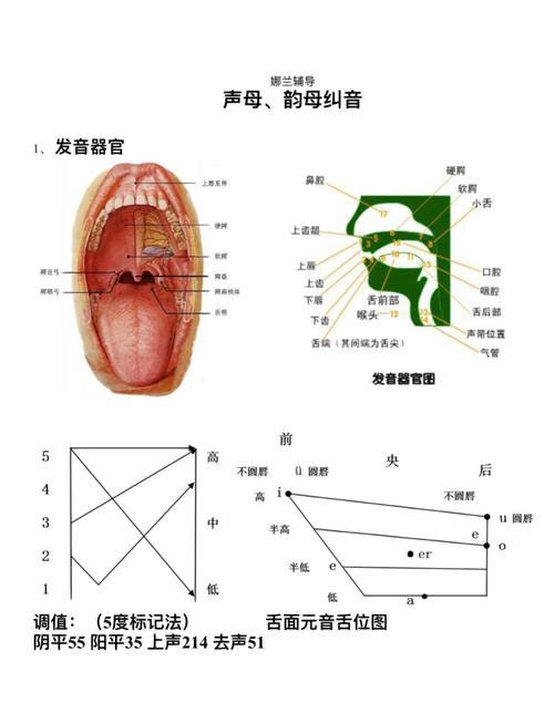 apple和table的a发音一样吗