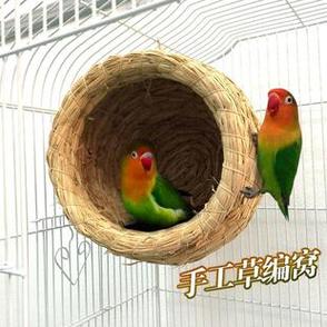 草窝可以代替繁殖箱吗