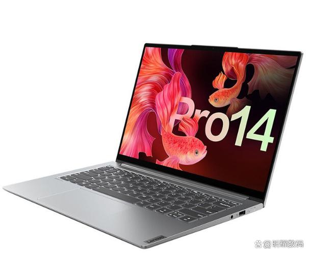 小新14pro最建议买哪一款
