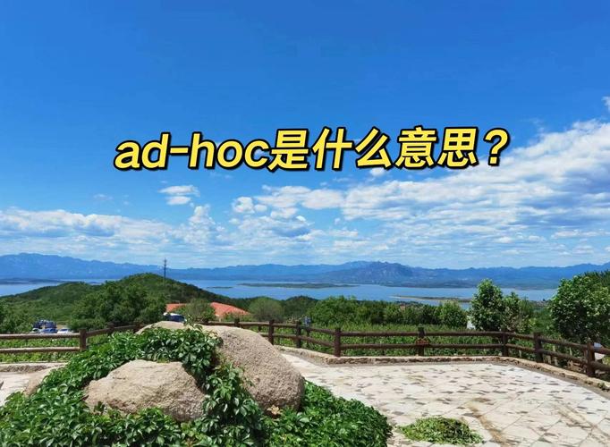 hoc是什么的简称
